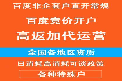 百度移动端应用推广策略探讨